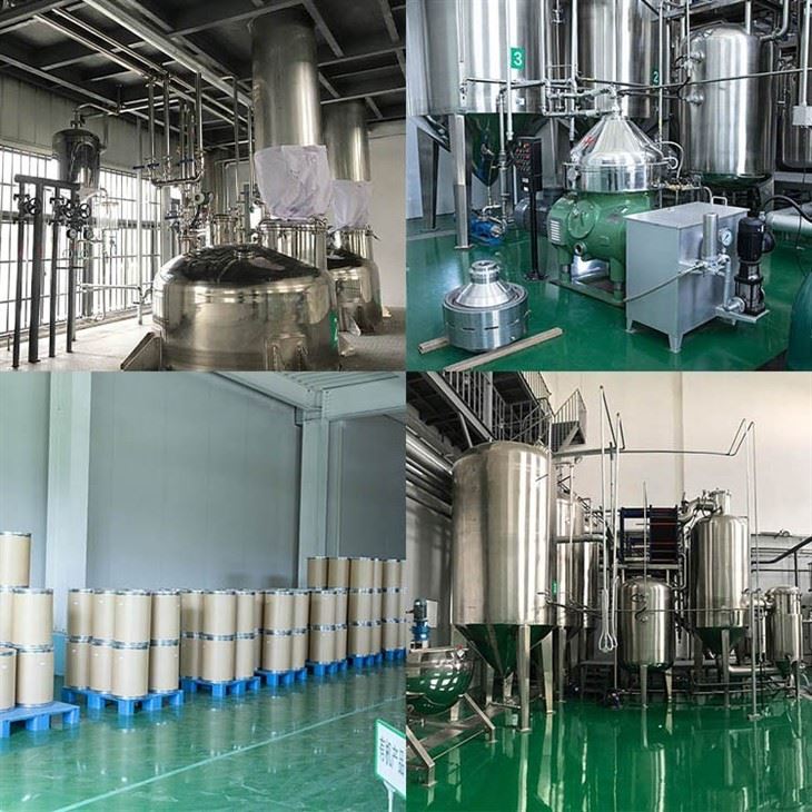 Astragalus Root Extract factory